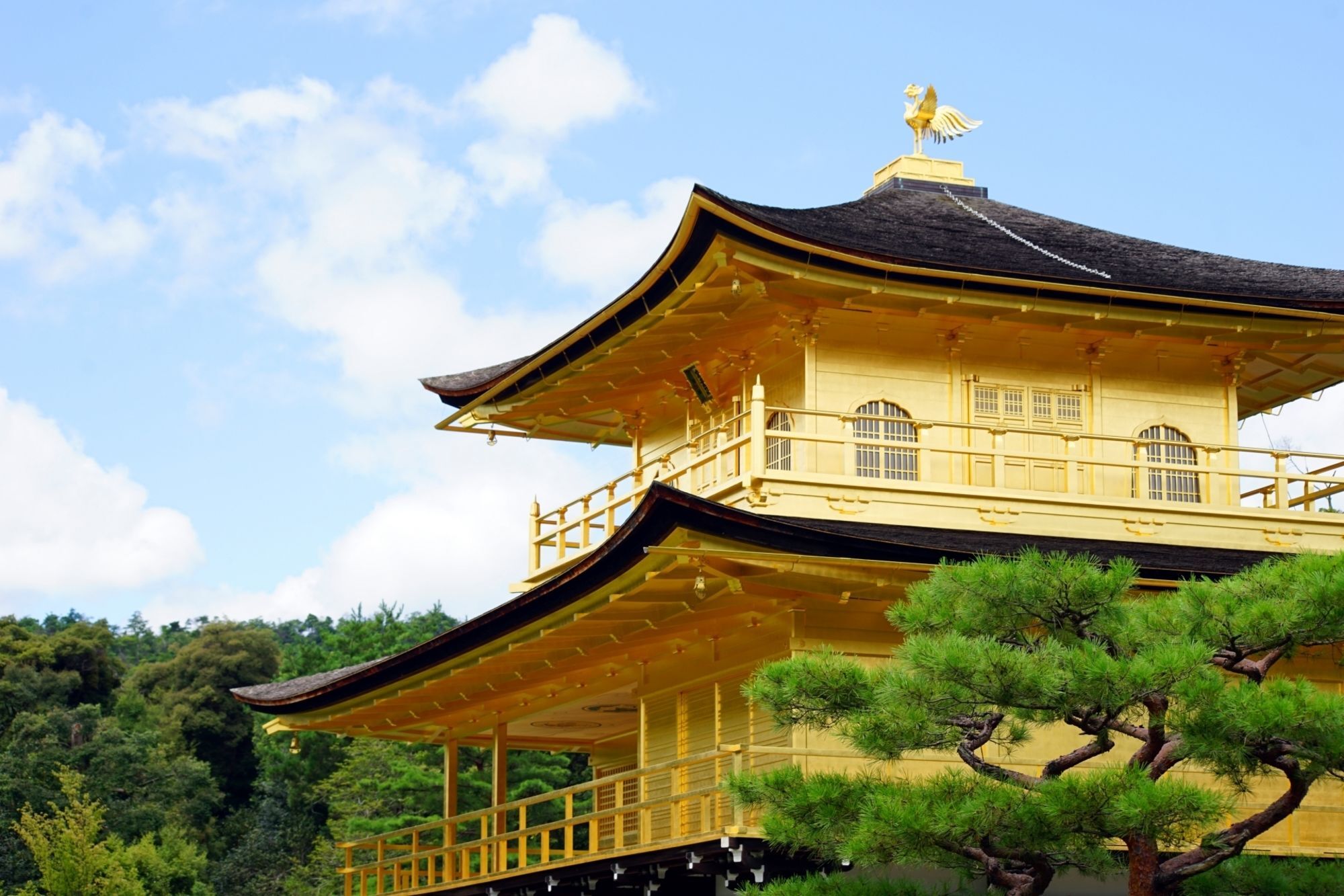 Stay Sakura Kyoto Zen Exteriör bild